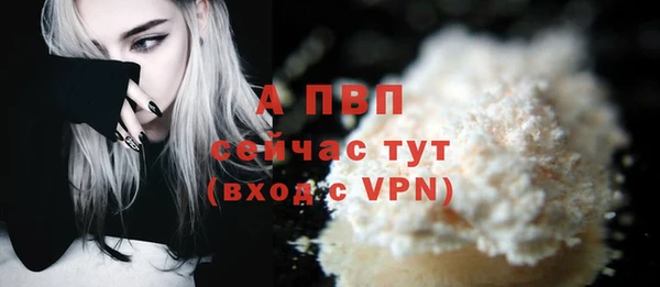 гидра Абаза