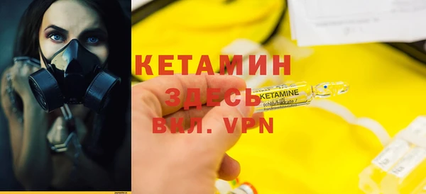 гидра Абаза