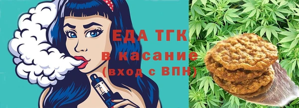 гидра Абаза