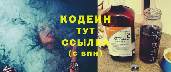 гидра Абаза