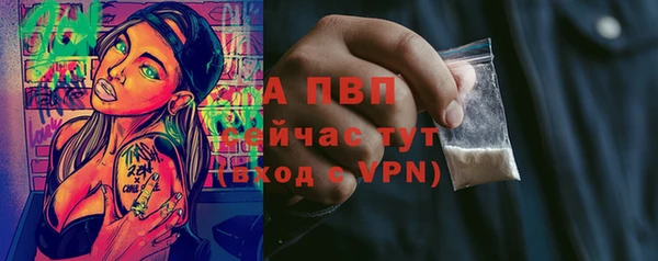 гидра Абаза