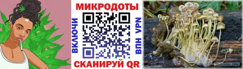 Галлюциногенные грибы GOLDEN TEACHER  Циолковский 